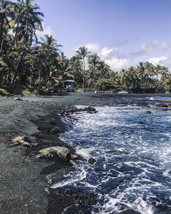 Punaluu-Beach.jpg